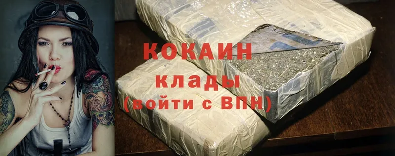 купить наркотик  Дубовка  Cocaine Fish Scale 